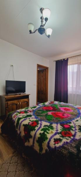 Pension LA ANCUTA IN SUSANI from Mara, Maramureș picture 20