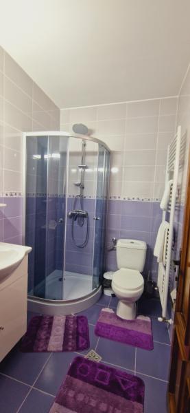 Pension LA ANCUTA IN SUSANI from Mara, Maramureș picture 21