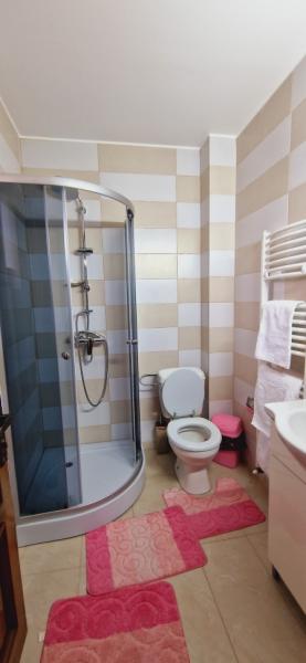 Pension LA ANCUTA IN SUSANI from Mara, Maramureș picture 24