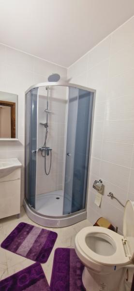 Pension LA ANCUTA IN SUSANI from Mara, Maramureș picture 28