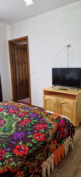 Pension LA ANCUTA IN SUSANI from Mara, Maramureș picture 30