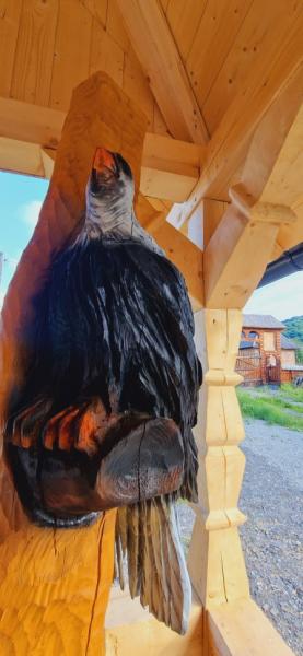 Pension LA ANCUTA IN SUSANI from Mara, Maramureș picture 34