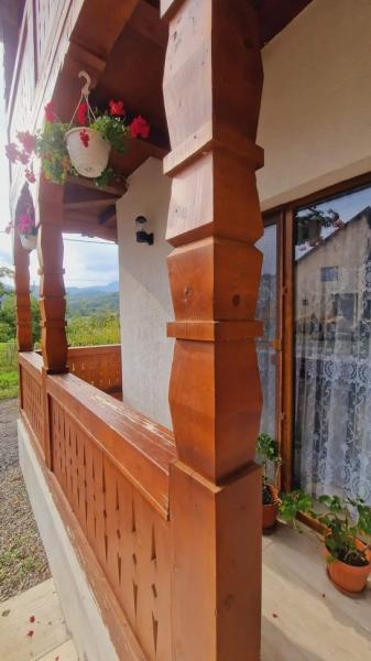 Pension LA ANCUTA IN SUSANI from Mara, Maramureș picture 9