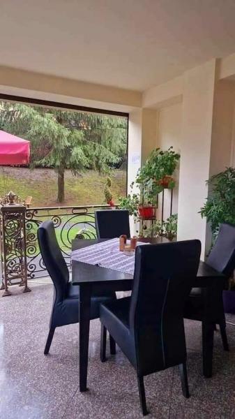 Pension RESTAURANT CASA BARSAN from Barsana, Maramureș picture 15