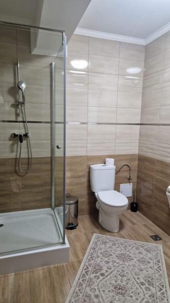 Pension RESTAURANT CASA BARSAN from Barsana, Maramureș picture 17