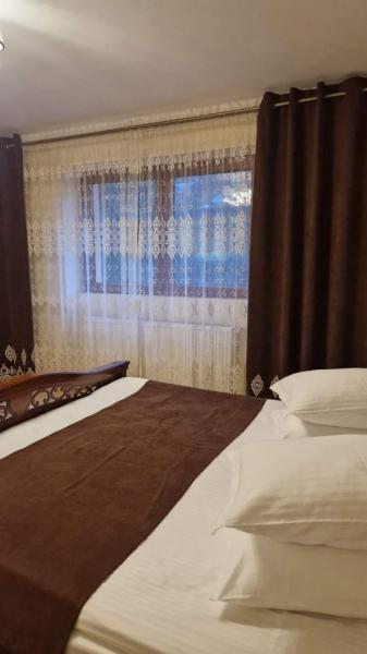 Pension RESTAURANT CASA BARSAN from Barsana, Maramureș picture 23