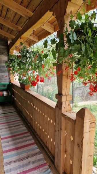 Vacation home CASA DE LA PARAU from Viseu De Sus, Maramureș picture 18