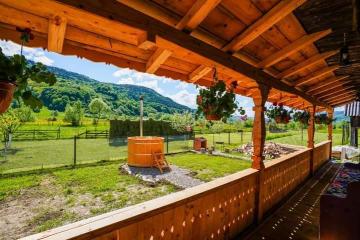 Vacation home CASA DE LA PARAU from Viseu De Sus, Maramureș picture 2