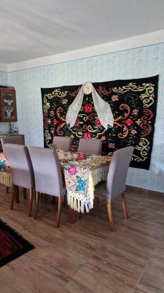Vacation home CASA DE LA PARAU from Viseu De Sus, Maramureș picture 28