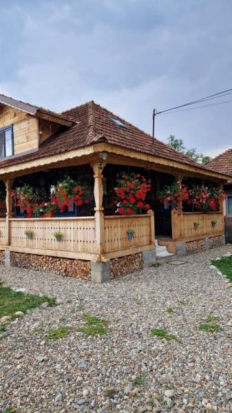 Vacation home CASA DE LA PARAU from Viseu De Sus, Maramureș picture 35