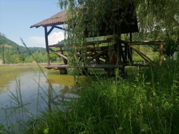 Pension LACRAMIOARA from Sacel, Maramureș picture 19