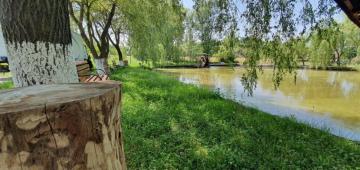 Pension LACRAMIOARA from Sacel, Maramureș picture 3