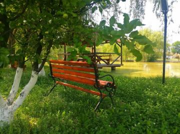 Pension LACRAMIOARA from Sacel, Maramureș picture 5