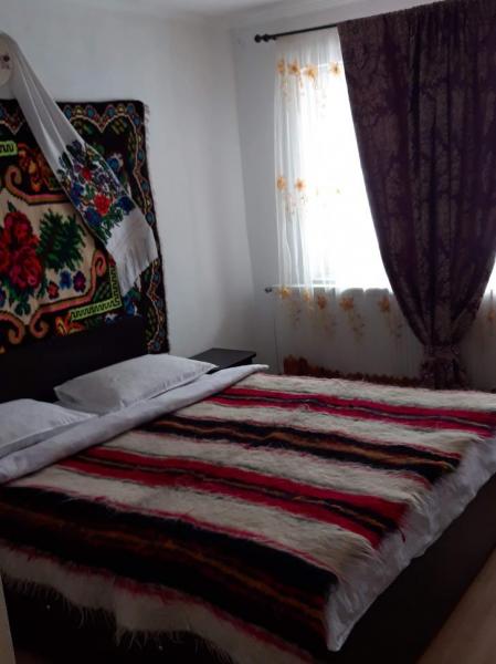 Pension POPASUL IZEI from Salistea De Sus, Maramureș picture 10