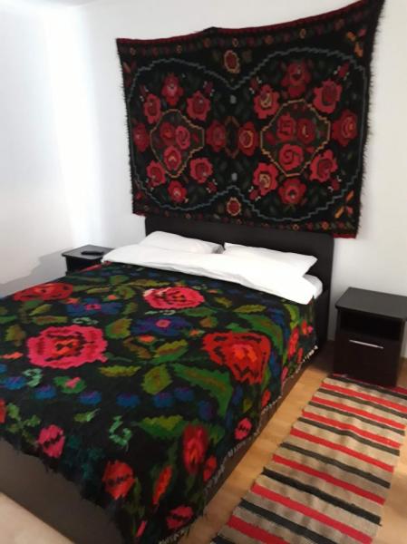 Pension POPASUL IZEI from Salistea De Sus, Maramureș picture 11