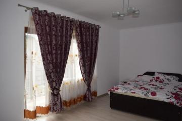 Pension POPASUL IZEI from Salistea De Sus, Maramureș picture 12