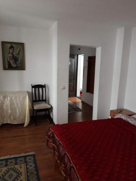 Pension POPASUL IZEI from Salistea De Sus, Maramureș picture 13