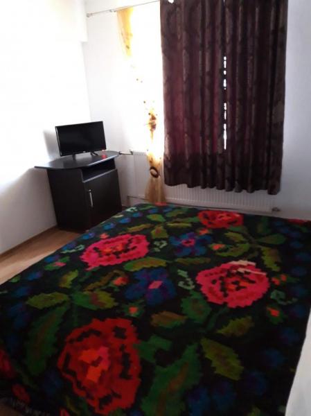 Pension POPASUL IZEI from Salistea De Sus, Maramureș picture 16