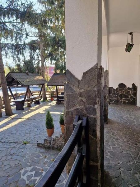 Pension POPASUL IZEI from Salistea De Sus, Maramureș picture 18