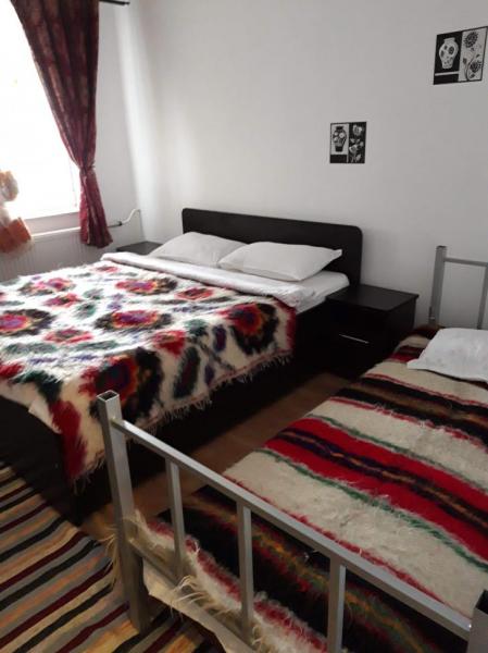 Pension POPASUL IZEI from Salistea De Sus, Maramureș picture 2