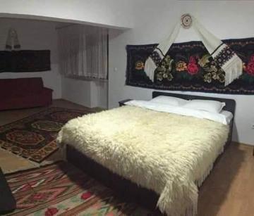 Pension POPASUL IZEI from Salistea De Sus, Maramureș picture 27