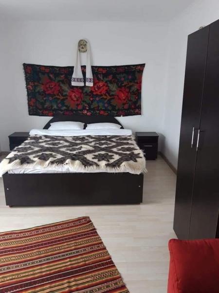 Pension POPASUL IZEI from Salistea De Sus, Maramureș picture 28