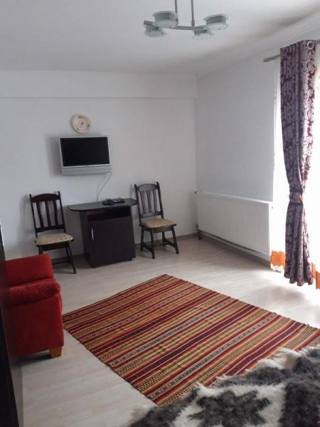 Pension POPASUL IZEI from Salistea De Sus, Maramureș picture 3