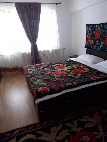 Pension POPASUL IZEI from Salistea De Sus, Maramureș picture 32