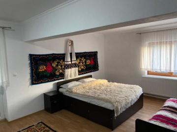 Pension POPASUL IZEI from Salistea De Sus, Maramureș picture 33
