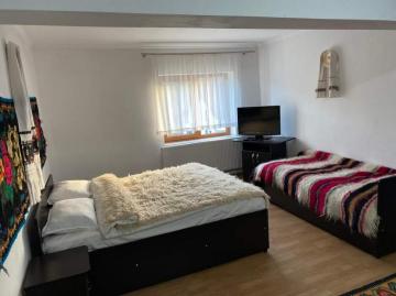 Pension POPASUL IZEI from Salistea De Sus, Maramureș picture 34