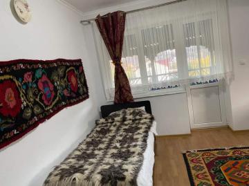 Pension POPASUL IZEI from Salistea De Sus, Maramureș picture 35