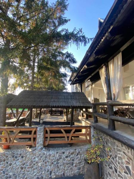 Pension POPASUL IZEI from Salistea De Sus, Maramureș picture 37