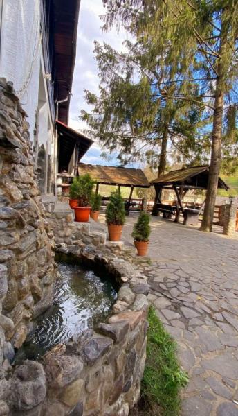 Pension POPASUL IZEI from Salistea De Sus, Maramureș picture 38