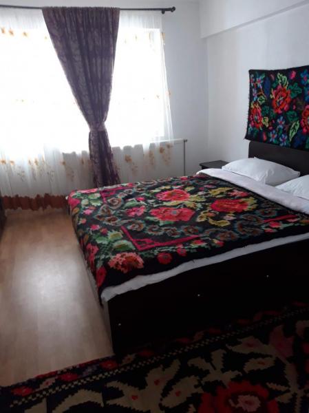 Pension POPASUL IZEI from Salistea De Sus, Maramureș picture 4