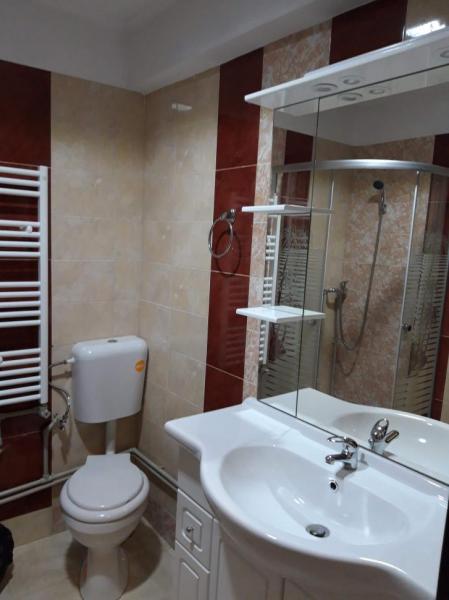 Pension POPASUL IZEI from Salistea De Sus, Maramureș picture 6