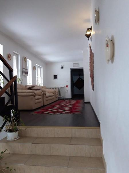 Pension POPASUL IZEI from Salistea De Sus, Maramureș picture 7