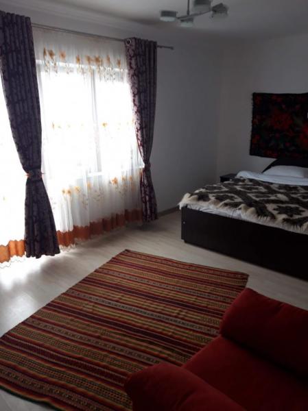 Pension POPASUL IZEI from Salistea De Sus, Maramureș picture 8