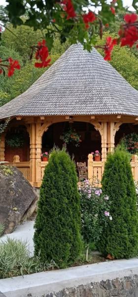 Pension CASA BORIS from Barsana, Maramureș picture 28