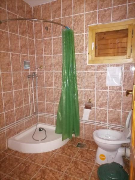 Pension DUMBRAVA MINUNATA from Vadu Izei, Maramureș picture 8