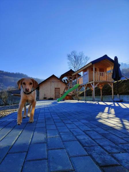 Vacation home CASUTA DIN COTROAPE from Sacel, Maramureș picture 3
