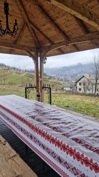 Vacation home CASUTA DIN COTROAPE from Sacel, Maramureș picture 32