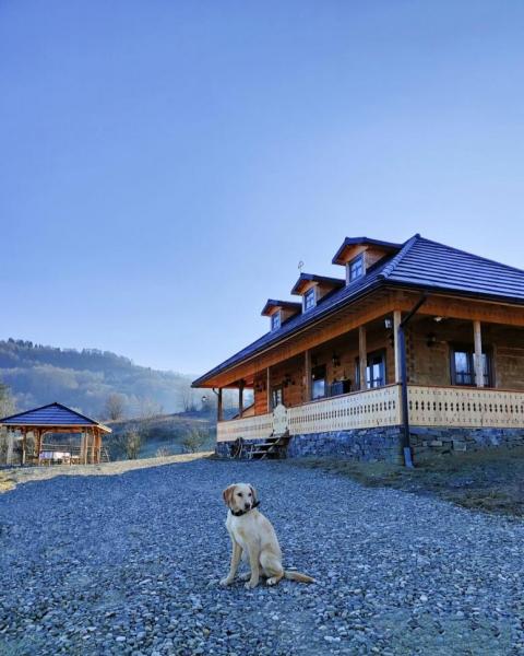 Vacation home CASUTA DIN COTROAPE from Sacel, Maramureș picture 4