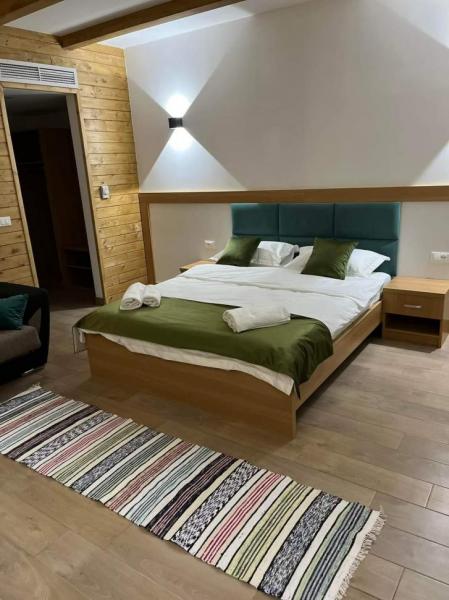 Pension WOODVILLE RESORT from Moisei, Maramureș picture 10