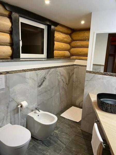 Pension WOODVILLE RESORT from Moisei, Maramureș picture 17