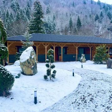 Pension WOODVILLE RESORT from Moisei, Maramureș picture 2