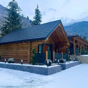 Pension WOODVILLE RESORT from Moisei, Maramureș picture 25