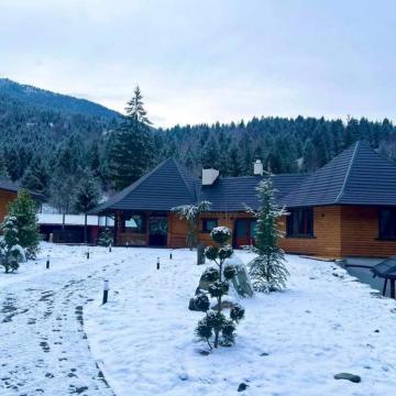 Pension WOODVILLE RESORT from Moisei, Maramureș picture 3