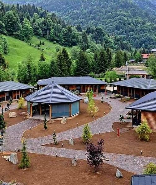 Pension WOODVILLE RESORT from Moisei, Maramureș picture 30