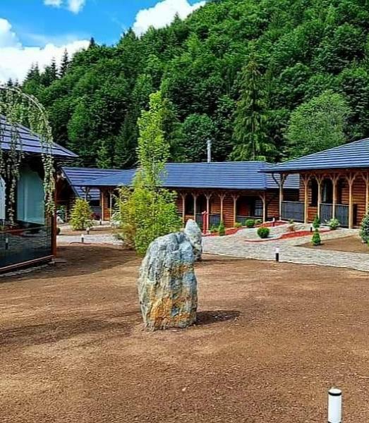 Pension WOODVILLE RESORT from Moisei, Maramureș picture 31