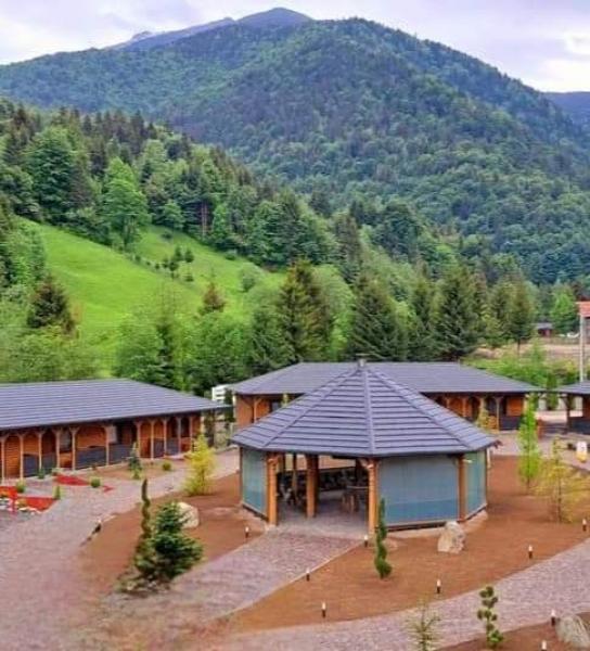 Pension WOODVILLE RESORT from Moisei, Maramureș picture 33